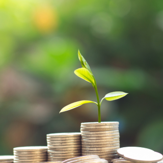 External Reviewers of European Green Bonds